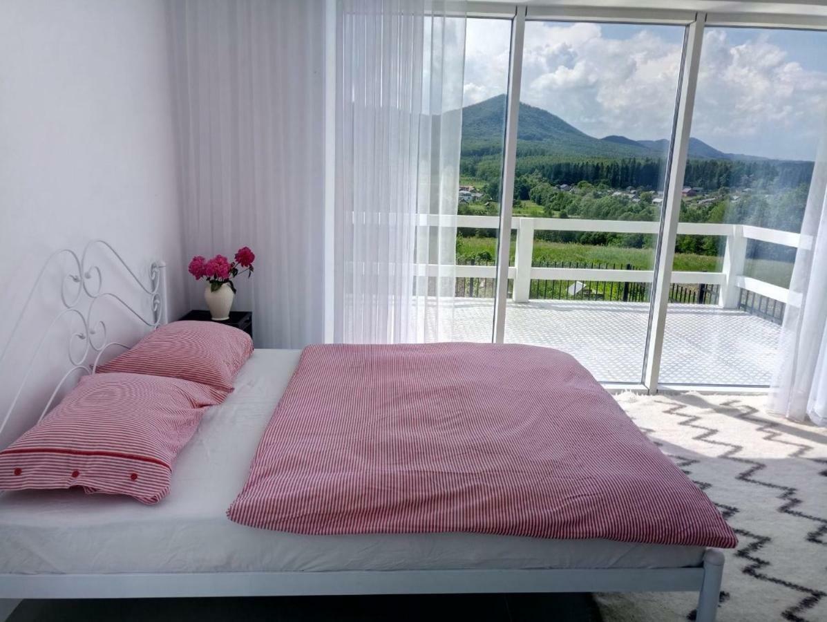 Villa Cosy House Berehomet Esterno foto