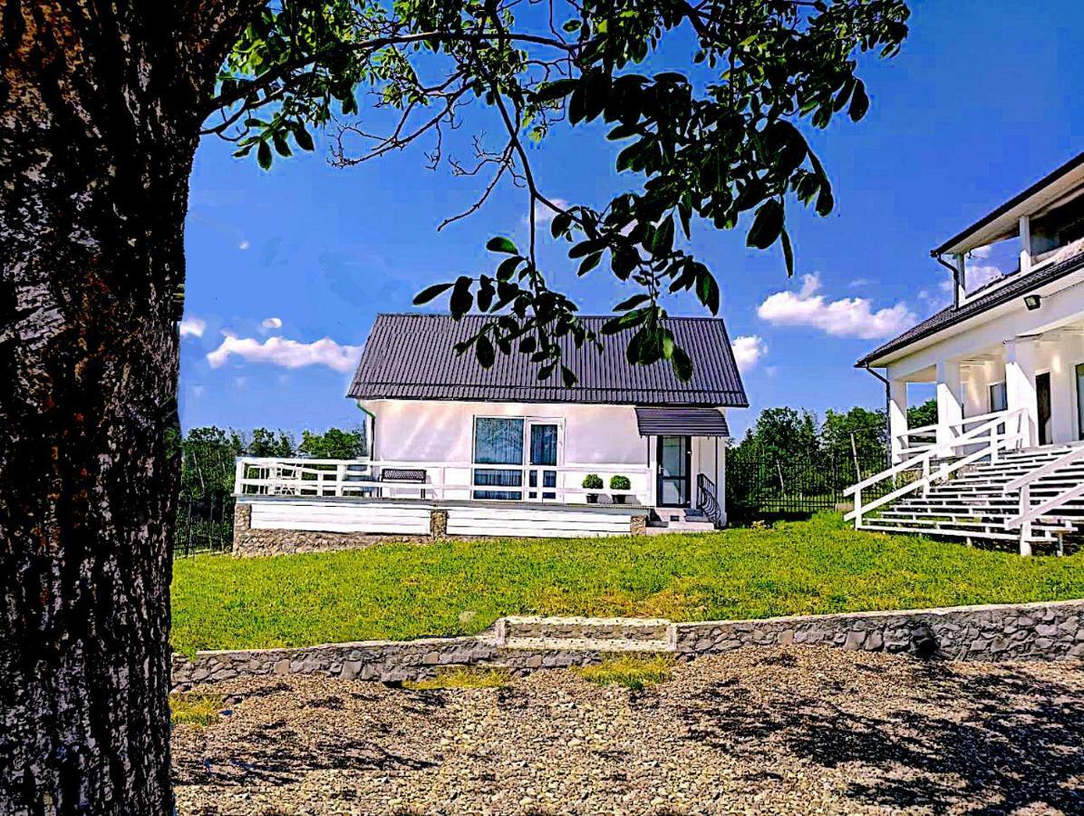 Villa Cosy House Berehomet Esterno foto
